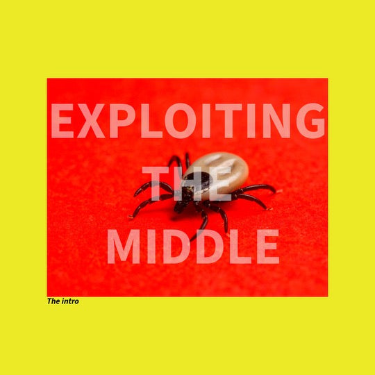 Expand Your Sublime Mind: Assessing Exploitation of Mind, Bodies, and Souls!